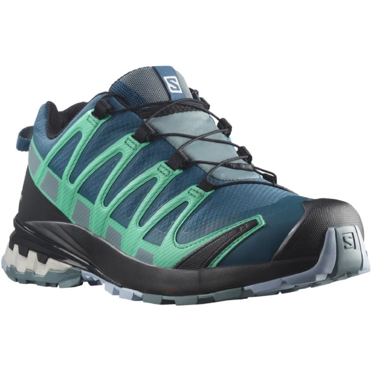 Tenis Para Trail Running Salomon Xa Pro 3d V8 GTX Mujer Azules Turquesa | MX JGZP028